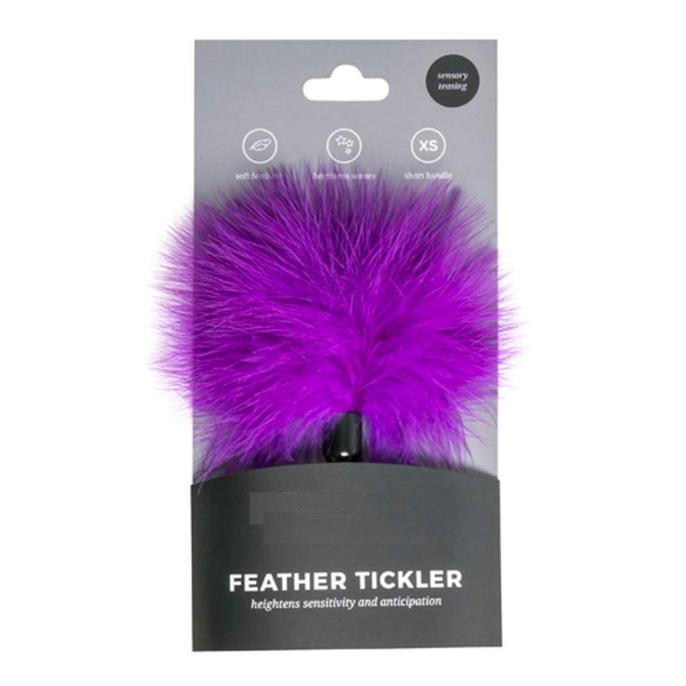 Małe fioletowe piórko dla par