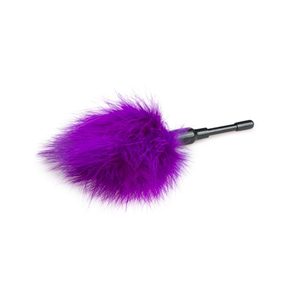 Małe fioletowe piórko dla par