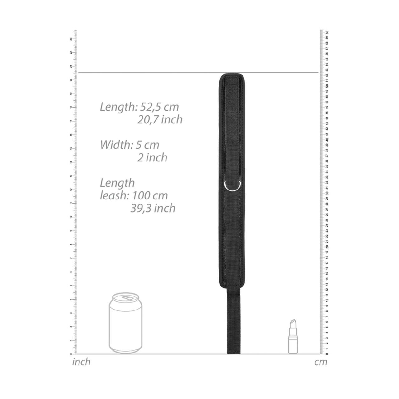 Aksamitna obroża BDSM z smyczą 120 cm | Regulowana na rzep | Loris.pl
