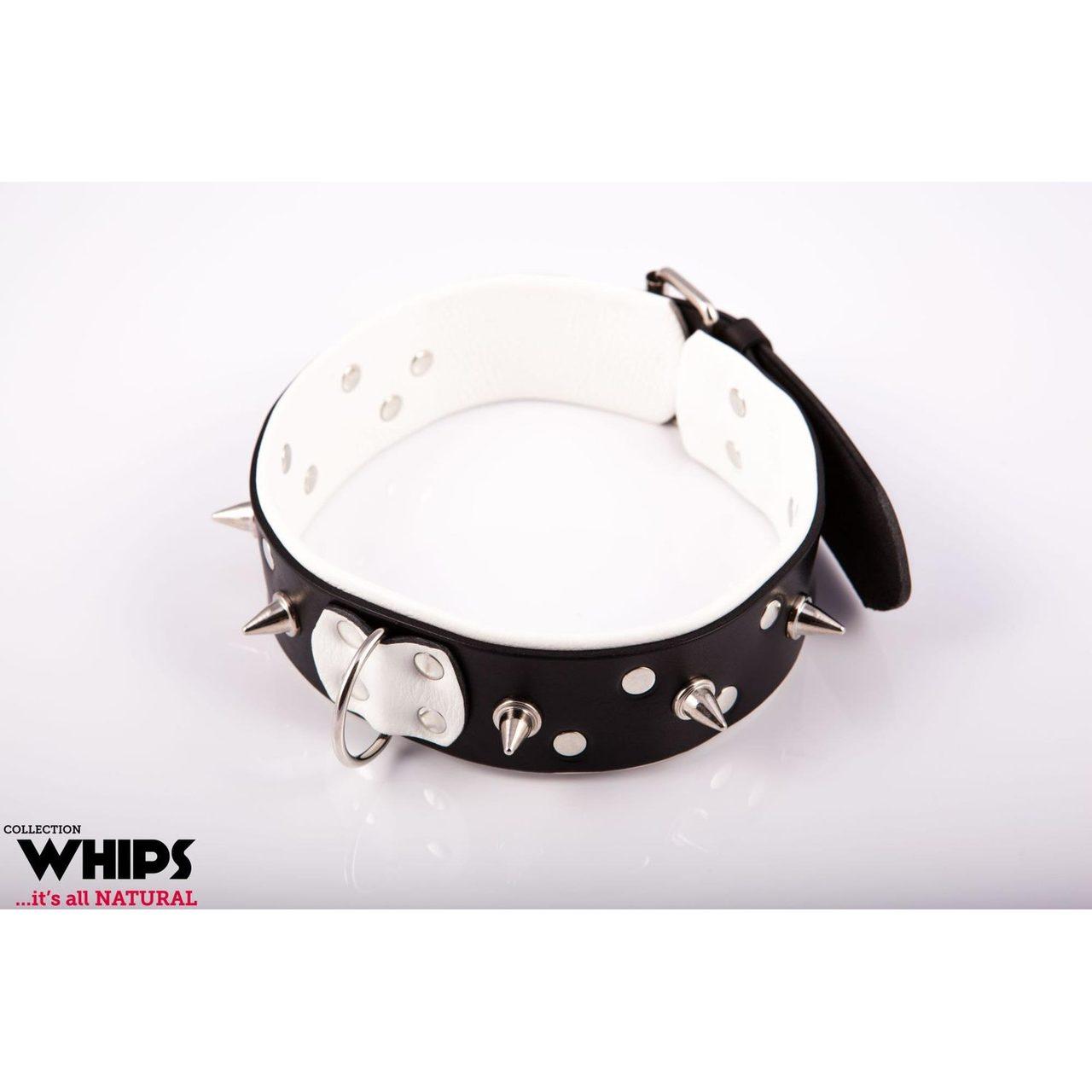 Biała skórzana obroża męska z ćwiekami i smyczą 100 cm | Loris.pl