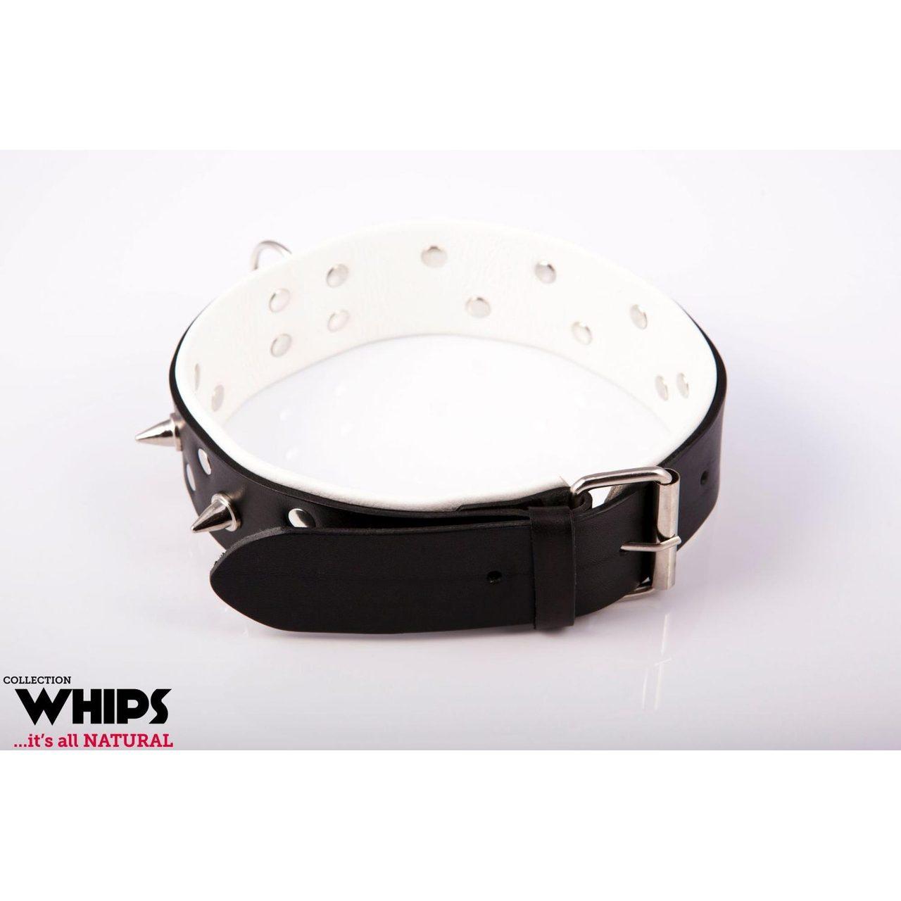 Biała skórzana obroża męska z ćwiekami i smyczą 100 cm | Loris.pl