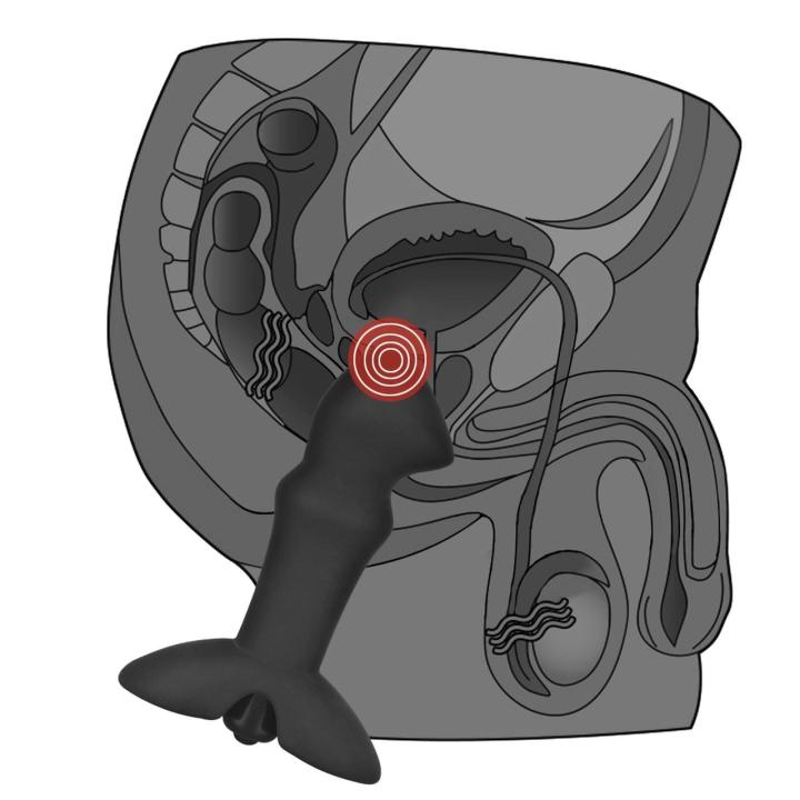 Wibrujący plug analny do prostaty 10 trybów | Silikon | Wodoodporny