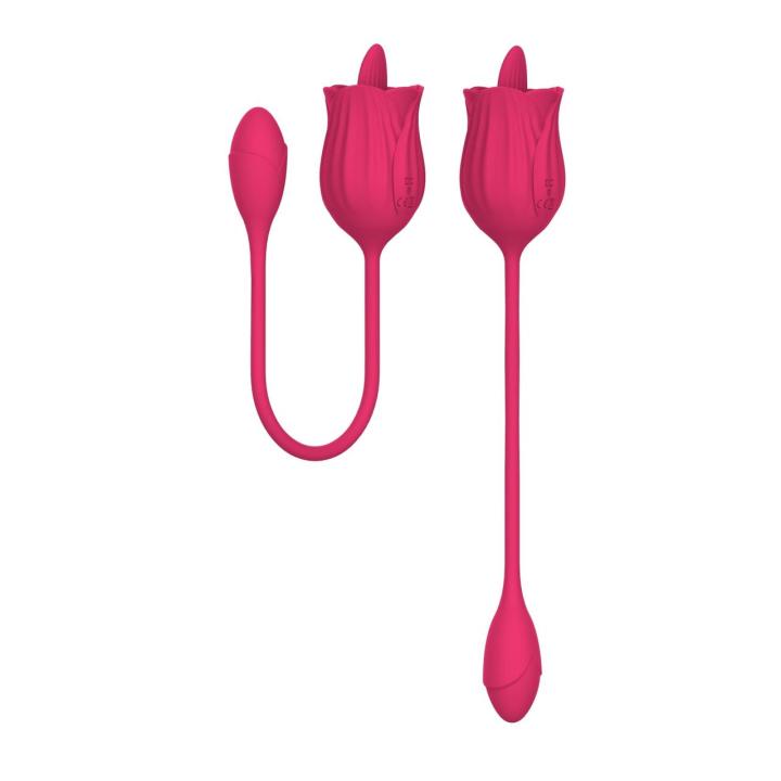 Liżący stymulator z wibrującym jajkiem USB – 10 trybów