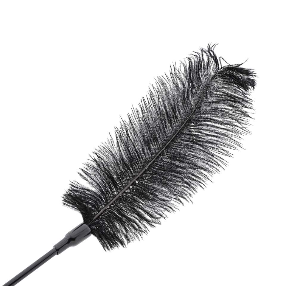 Czarne pojedyncze piórko do gry wstępnej dla kobiet i mężczyzn