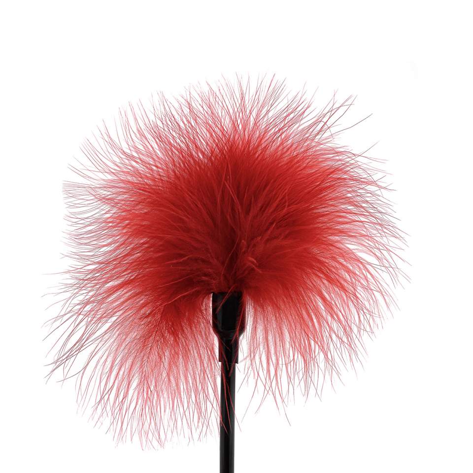 Małe czerwone piórko dla par